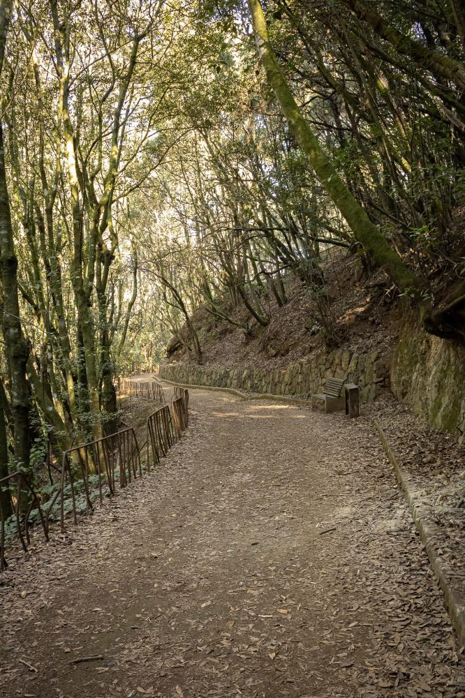 Chemin d'accès